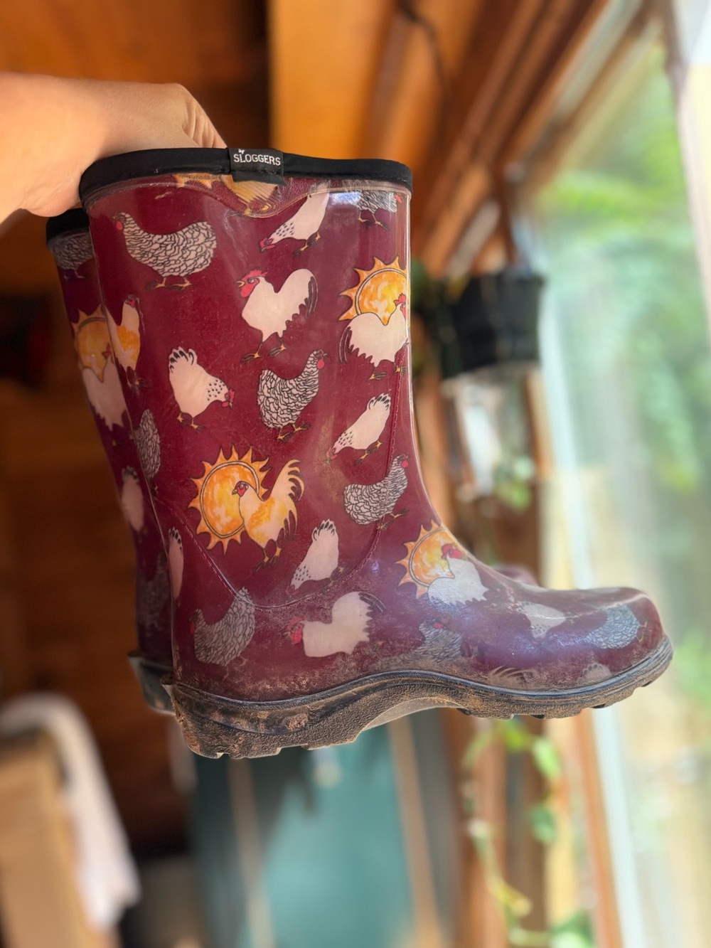 Sloggers Women's Maroon Rooster Print Rain Boots